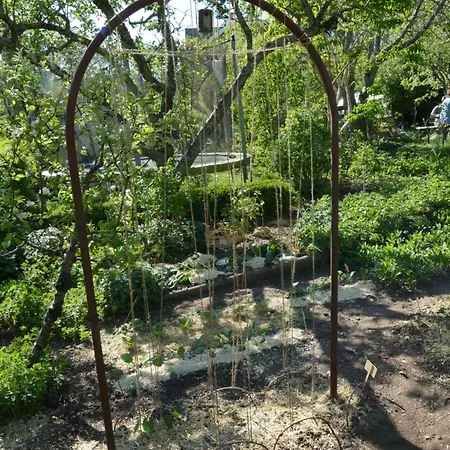 Gæstehus Rosa Epis Trois-Épis