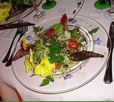 Gæstehus Rosa Epis 3*